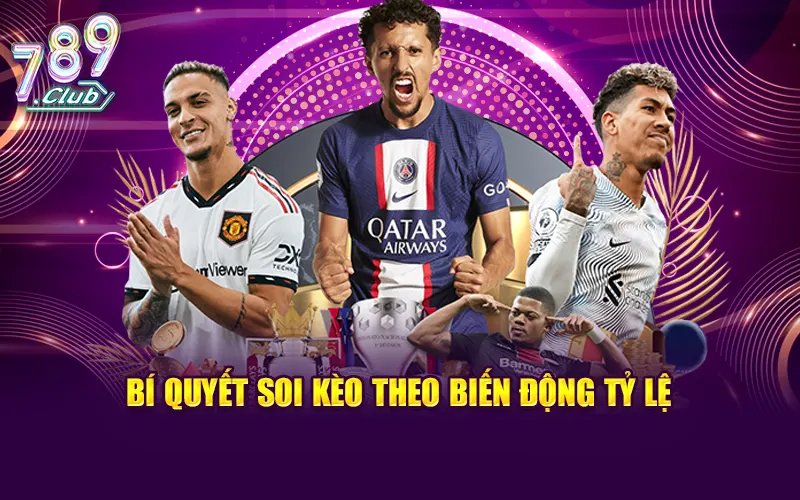 Bí quyết soi kèo theo biến động tỷ lệ